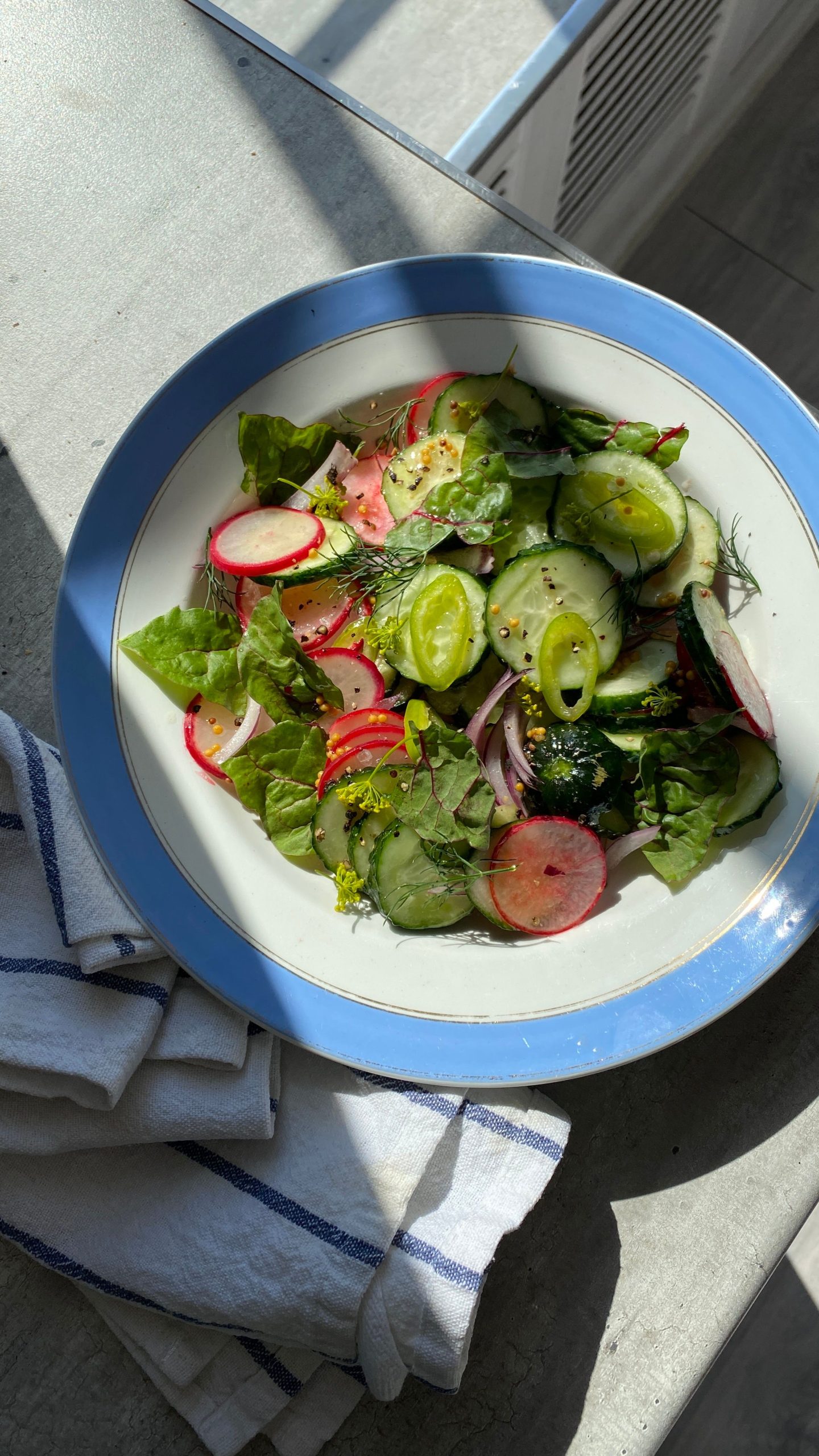 Crisp Lettuce Cucumber Salad Bowl